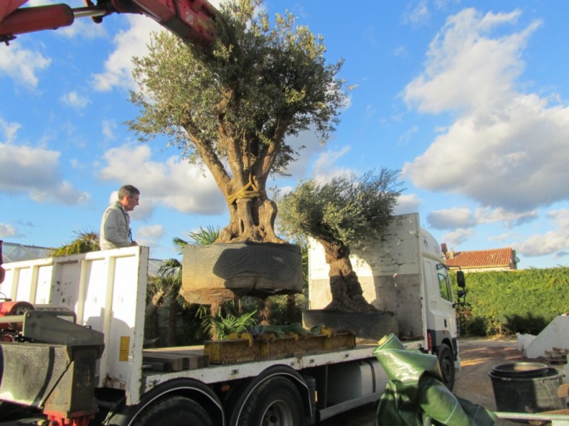 olivier centenaire expédition Gironde